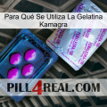 Para Qué Se Utiliza La Gelatina Kamagra 37